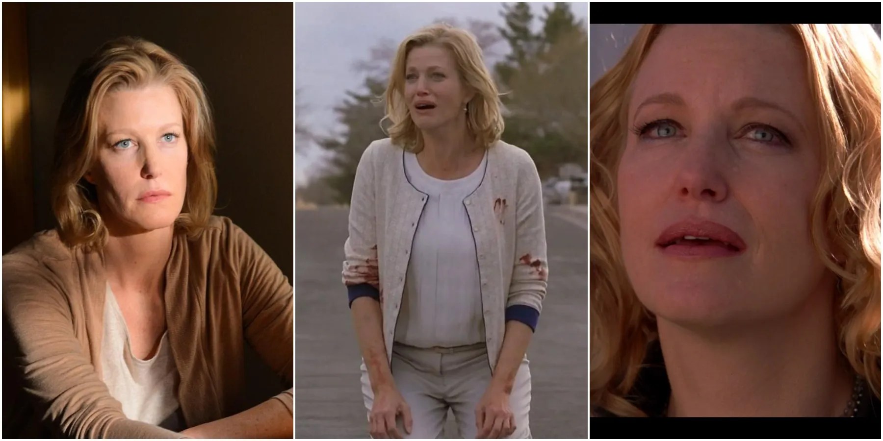 Breaking Bad: Skyler's 10 Most Memorable Quotes | ScreenRant