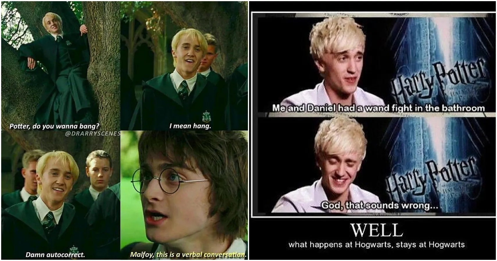 Harry Potter The Best Harry/Draco Ship Memes ScreenRant