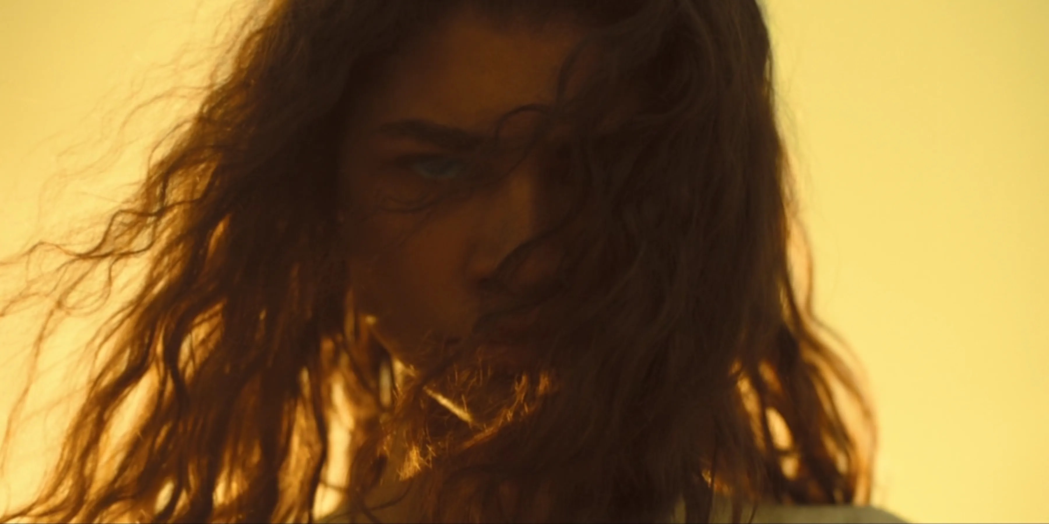 Chani: Zendaya&rsquo;s role explained