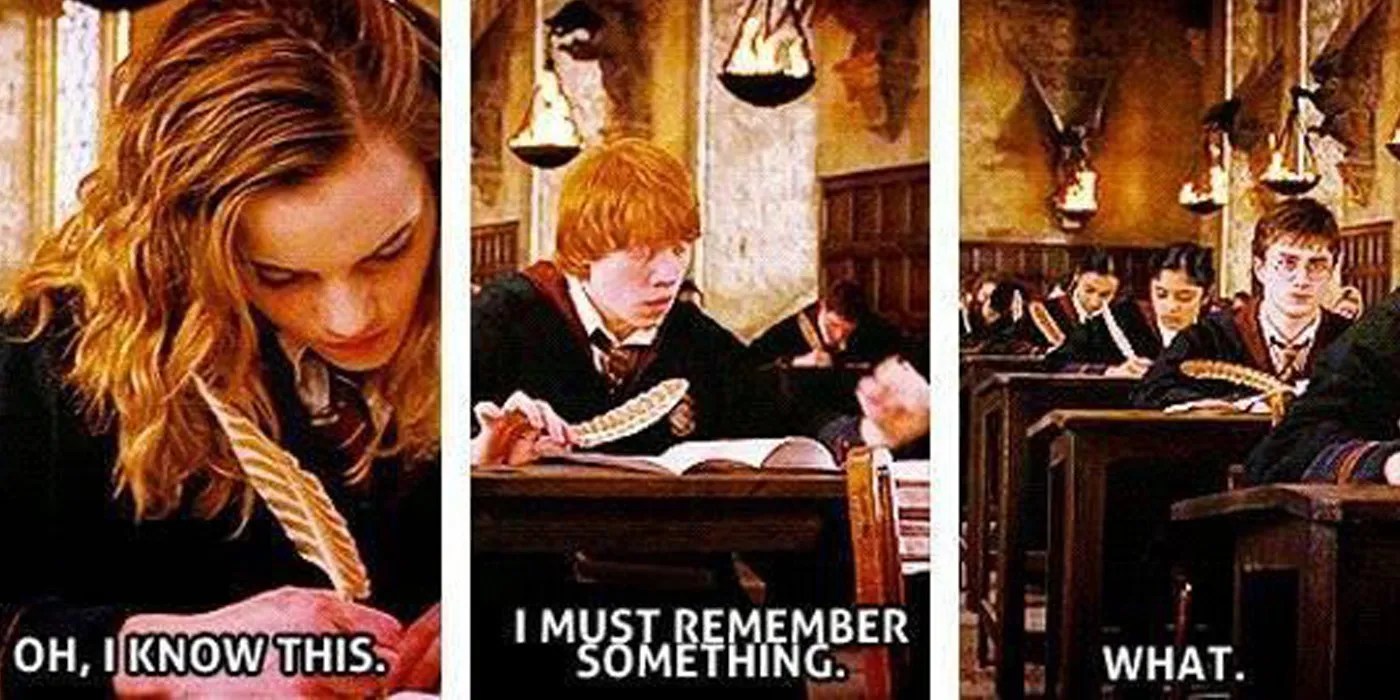 Harry Potter One Meme That Perfectly Sums Up Each Character