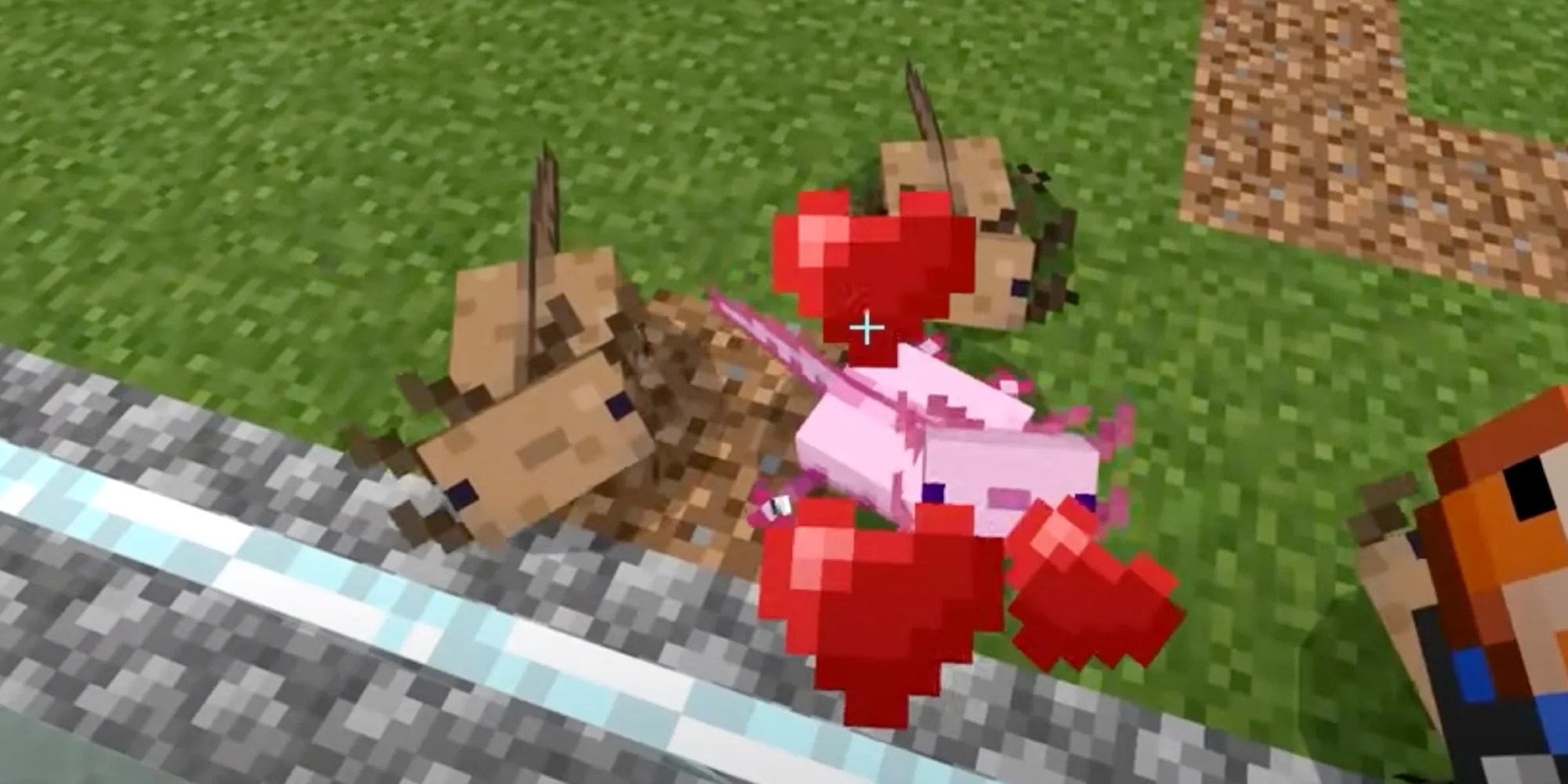 How to Breed Axolotls in Minecraft Screen Rant