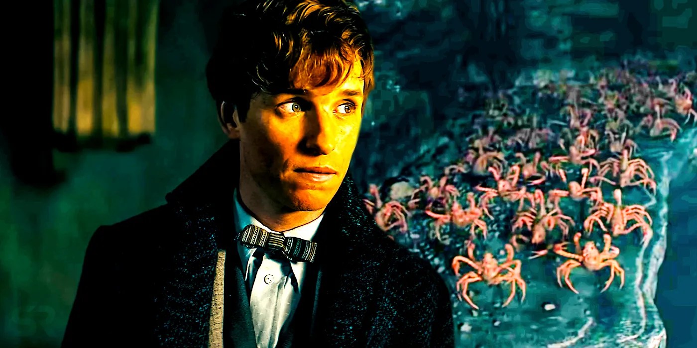 Fantastic Beasts 3 Main Characters, Ranked By Bravery Mobitool