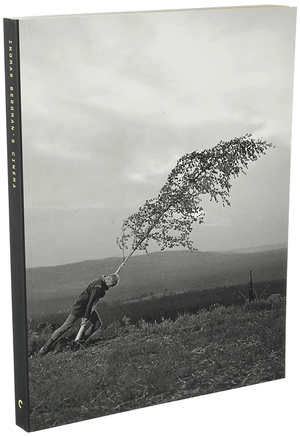 Best BluRay Criterion Collection Sets (Updated for December 2022)