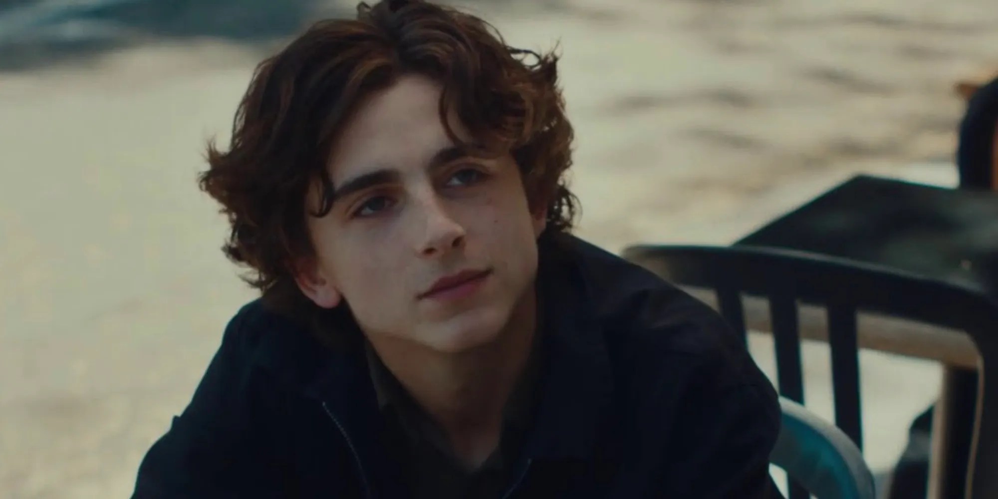 Every Timothée Chalamet Movie Ranked From Worst To Best