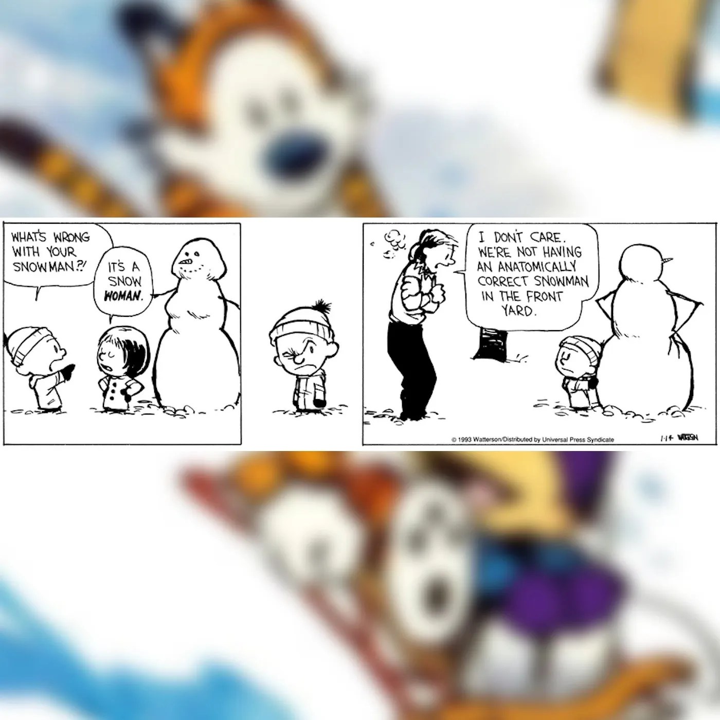 Calvin makes an anatomically correct snowman