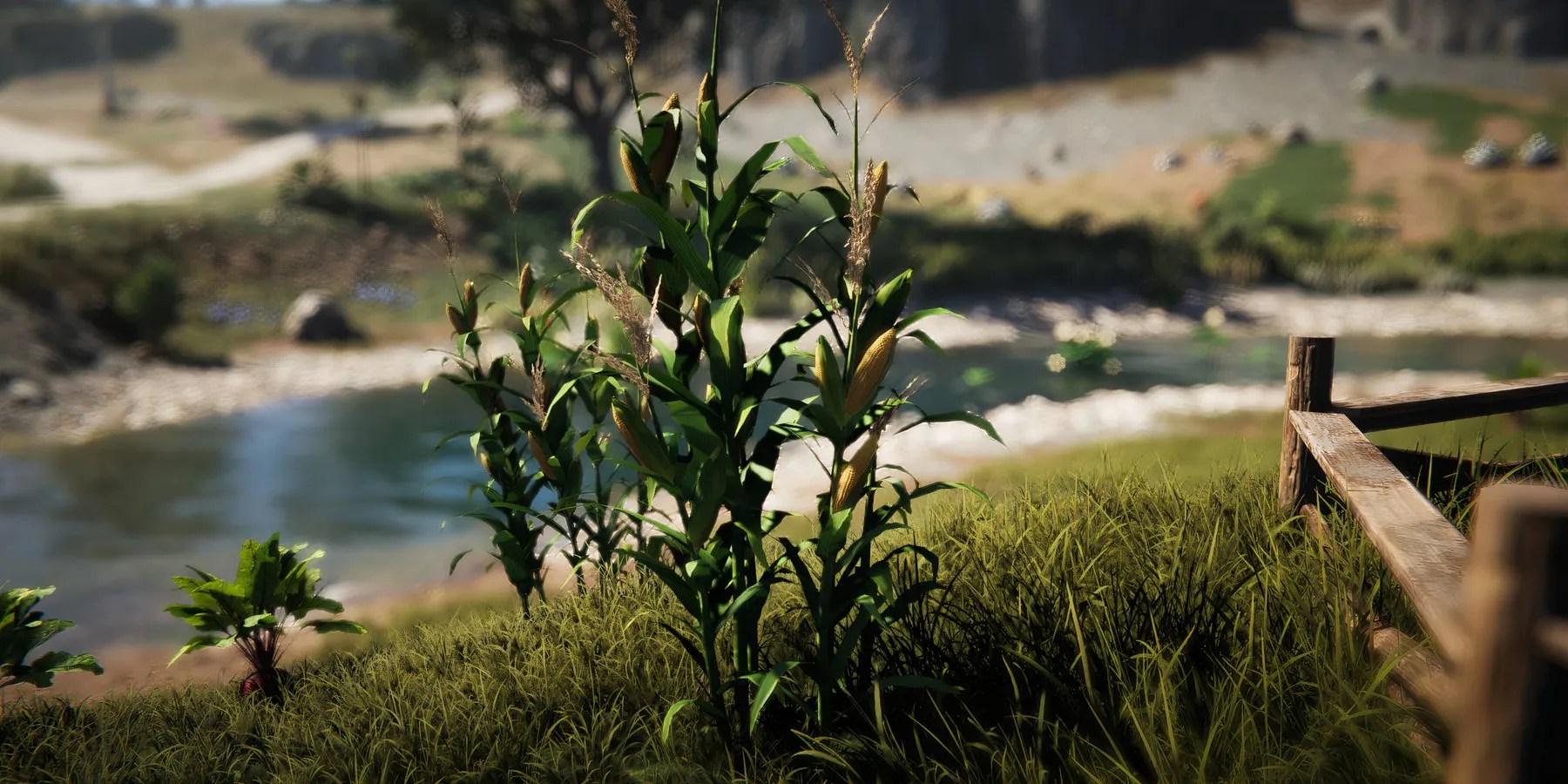 Corn, one of the crops in Once Human.