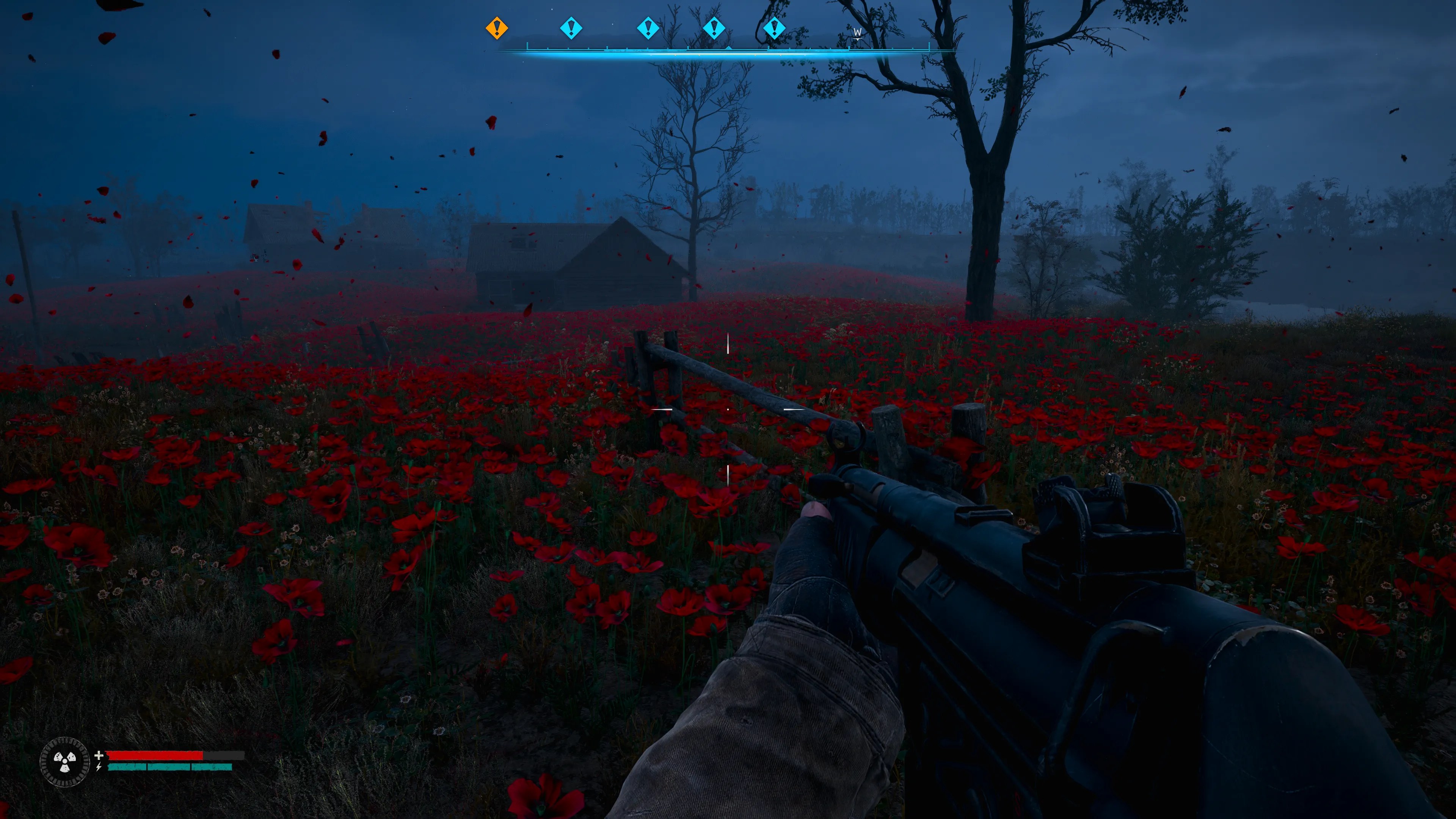 A field of bright red poppies in STALKER 2.
