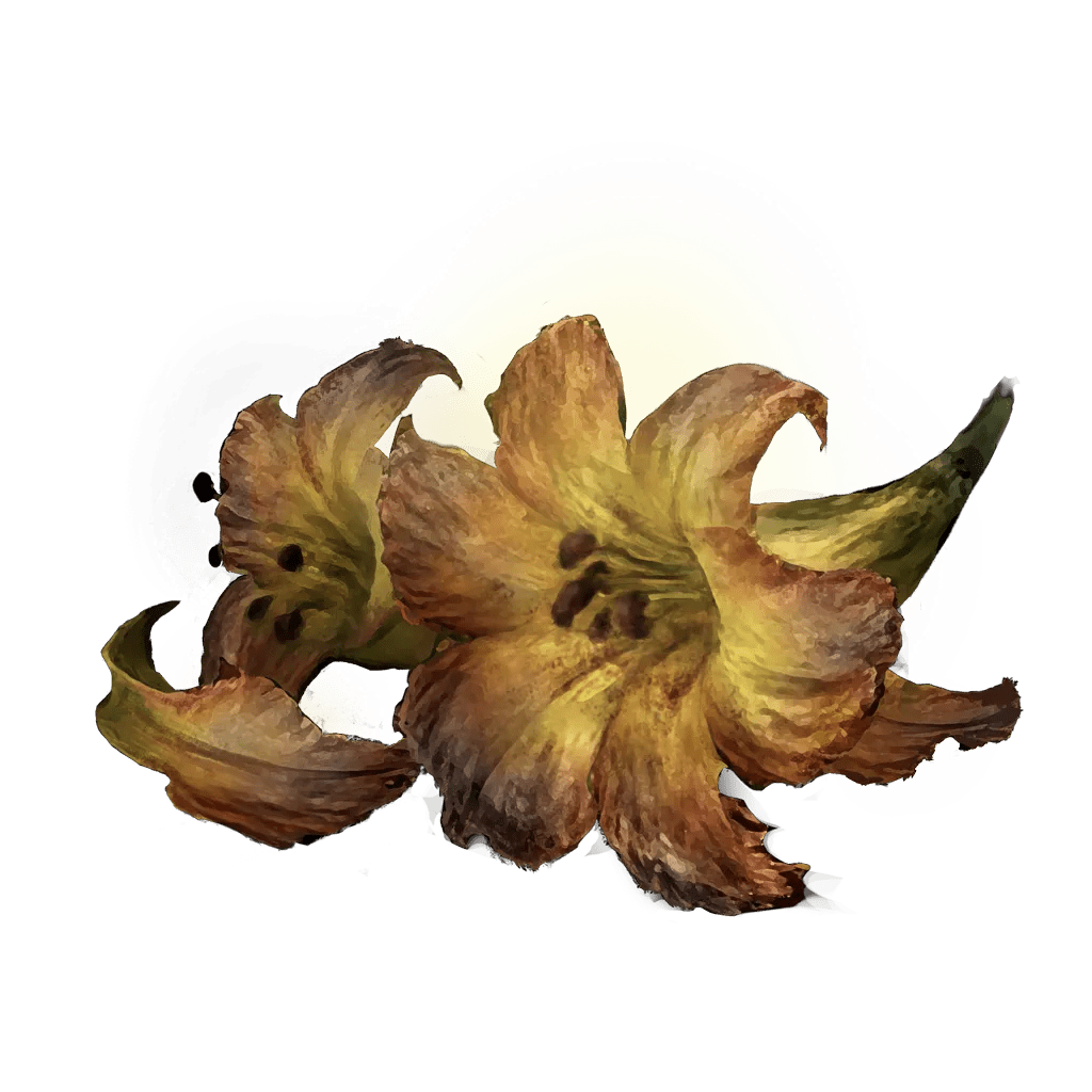 Elden Ring Where To Farm Erdleaf Flower (Best Place & What They Do)