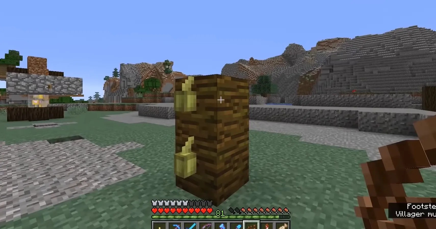 Minecraft How To Grow Cocoa Beans