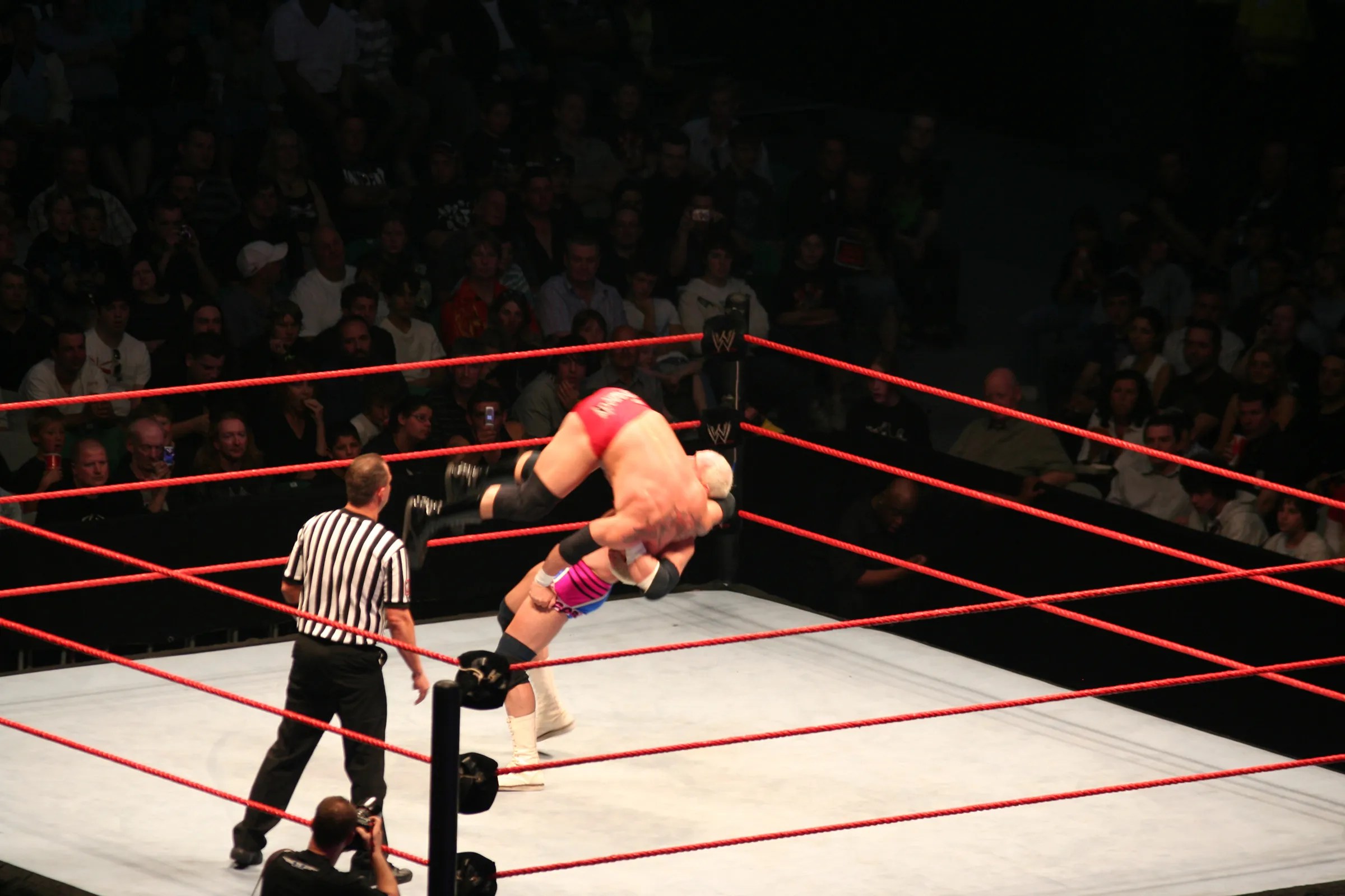 20 Fascinating Facts You Didn’t Know About WWE Referees