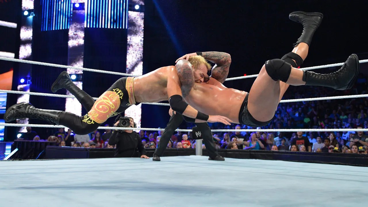 20 Most Powerful Finishing Moves In Wrestling, Ranked