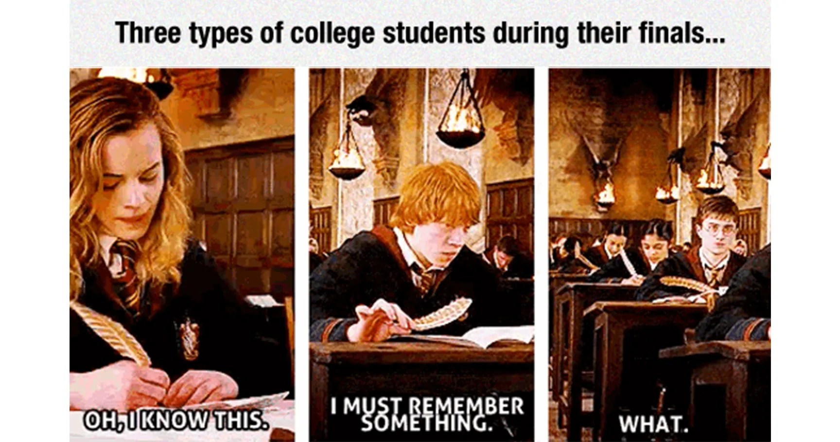15 'Harry Potter' Memes That Every College Student Can Relate To