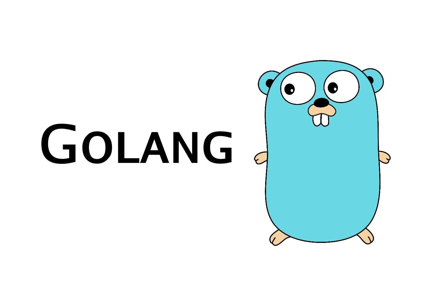Gin Golang Proxy at John Myles blog