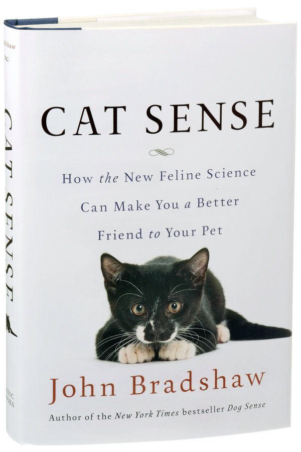 Inside the Cat Brain The New York Times