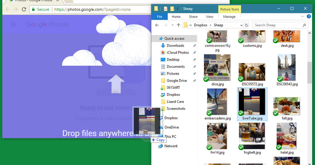 Sharing Online Albums With Google Photos The New York Times