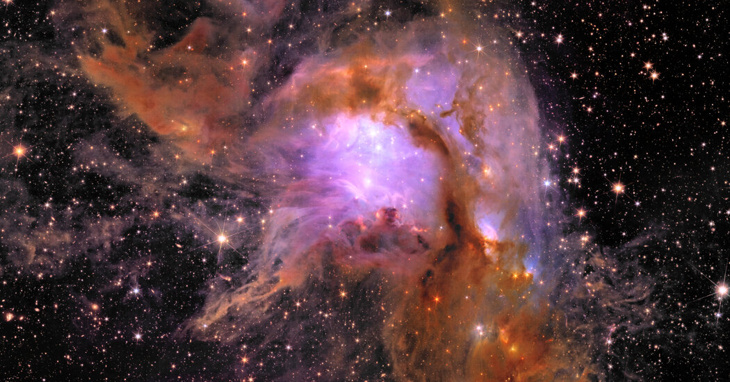 New ESA images of Euclid discover scenes of cosmic light in a dark universe