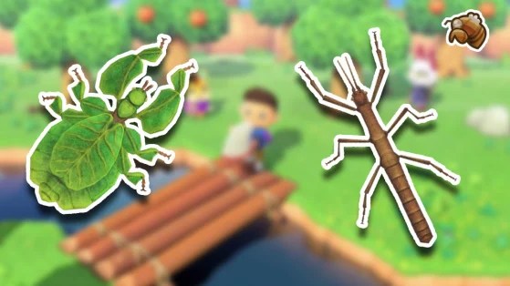 Animal Crossing New Horizons Comment trouver la mue de cigale, la phyllie et le phasme Millenium
