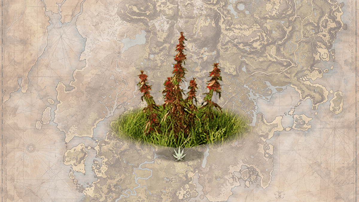 Where to find Wirefiber for Infused Silk in New World Millenium