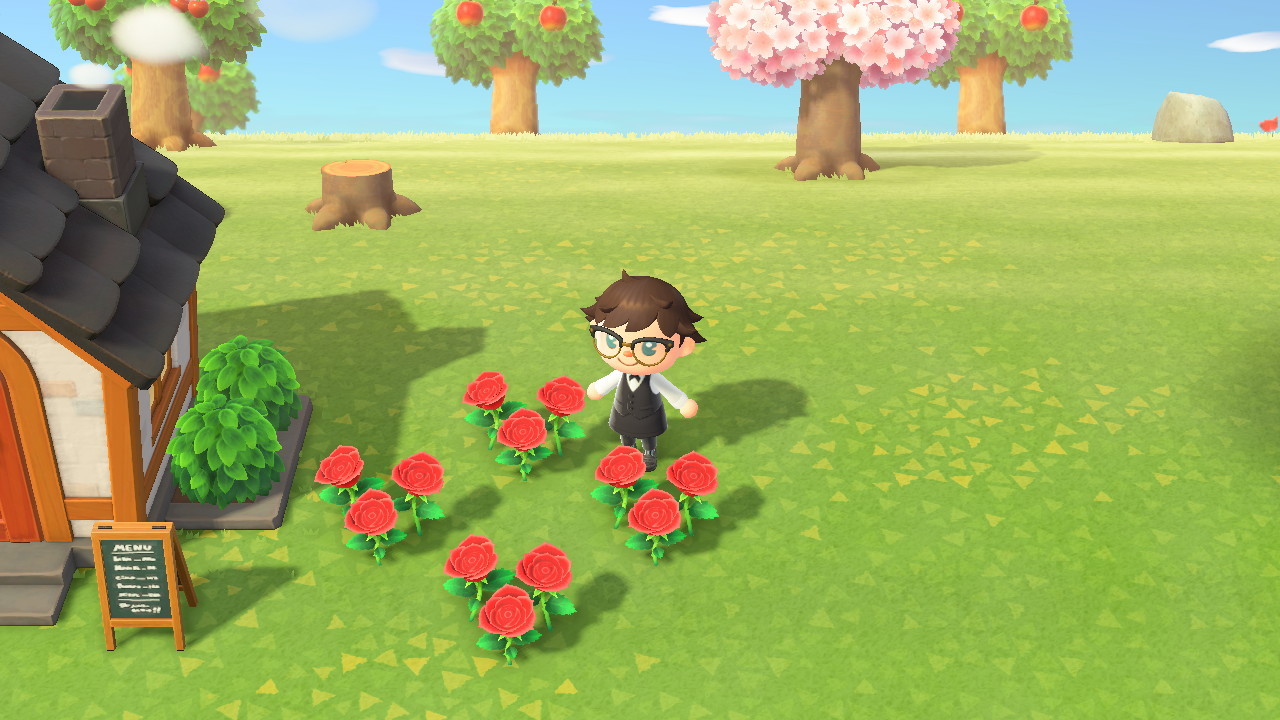 Animal Crossing New Horizons Gold Roses, how to get them? Millenium