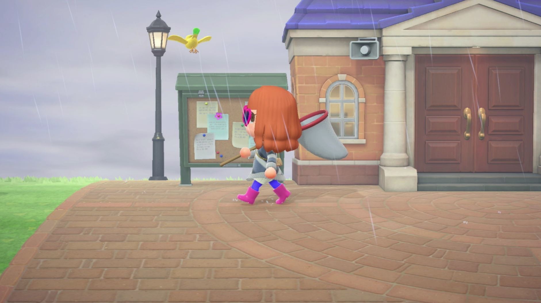Animal Crossing New Horizons can you catch the owl and the yellow bird? Millenium