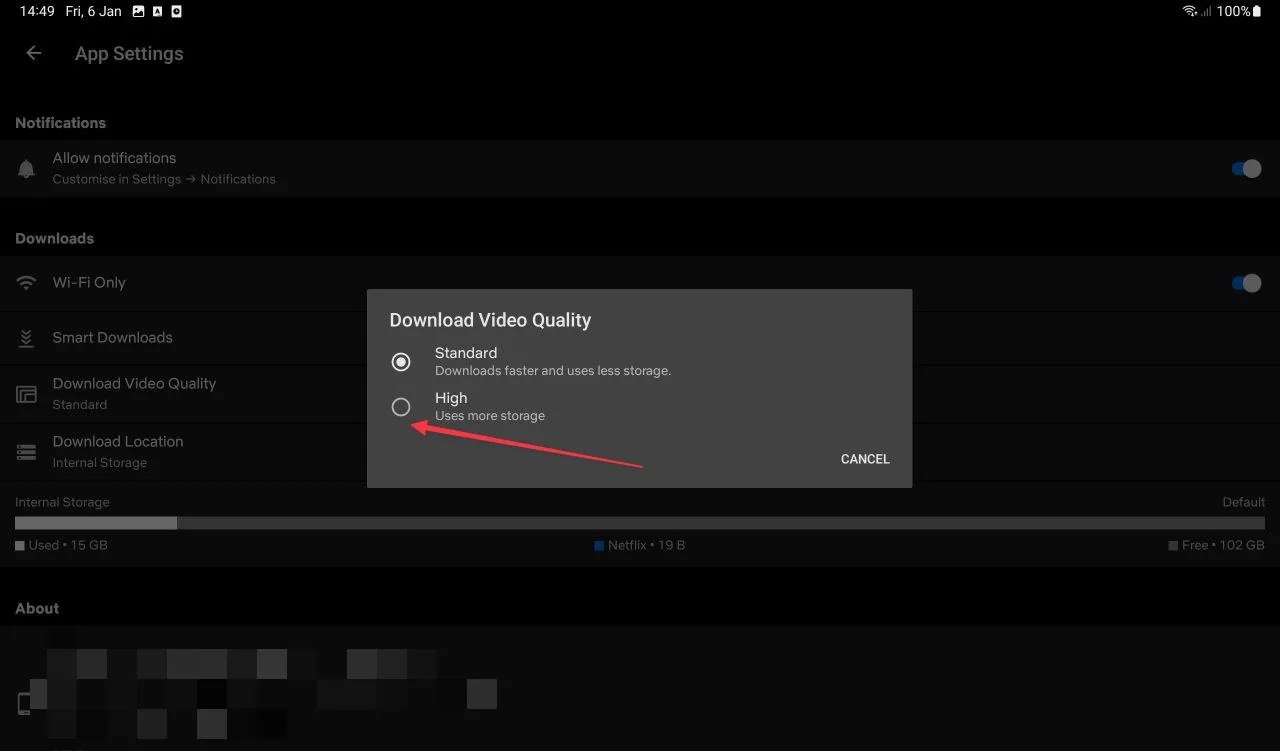 How to download Netflix movies and shows