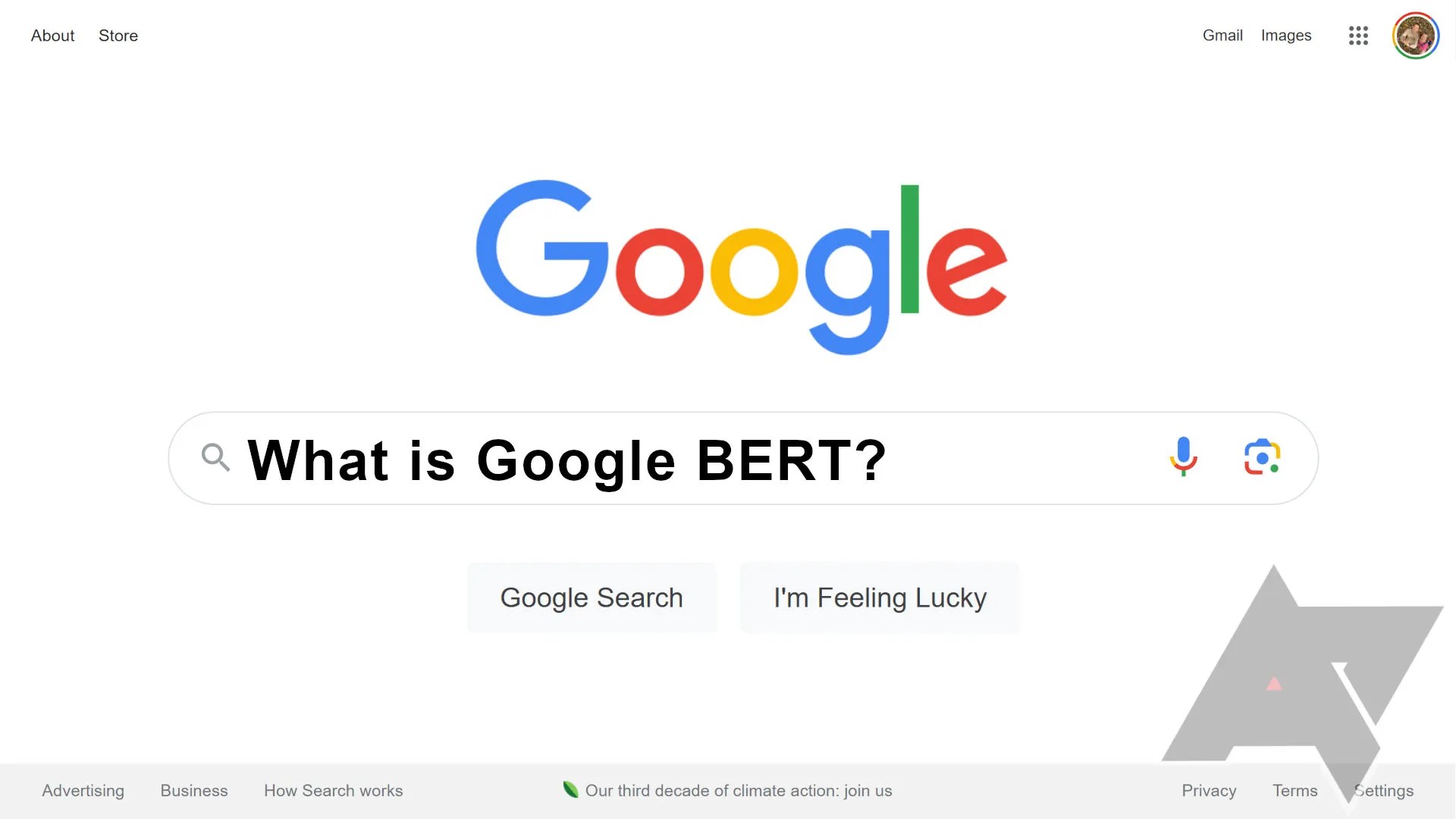 What is the BERT language model and how does it work?