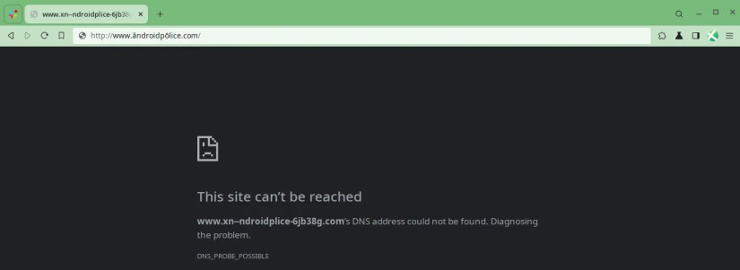 Screenshot of a site not loading due to non-English characters.