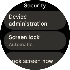 Google Pixel Watch Security menu