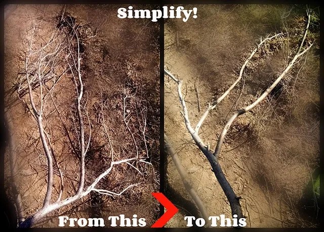 Step 2 Cut, Trim, Simplify