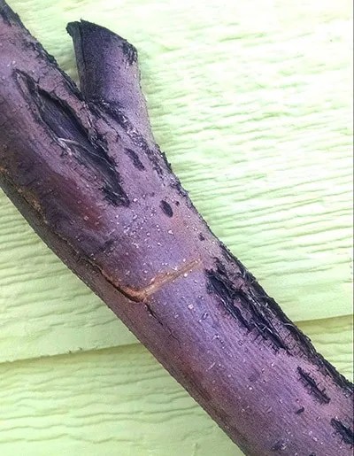 Step 3 Notch Attachment Spots