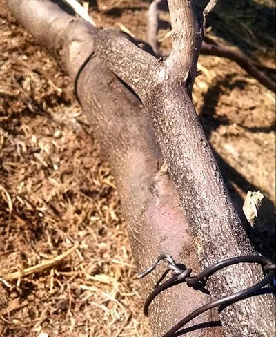 step 5 Attach Pieces Together Snugly