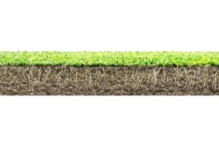 cutting too short grass