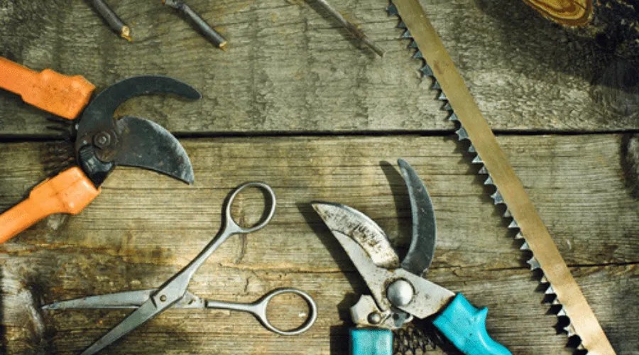 How To Sharpen Pruning Shears With A File