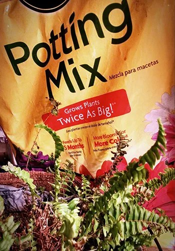 Potting Mix