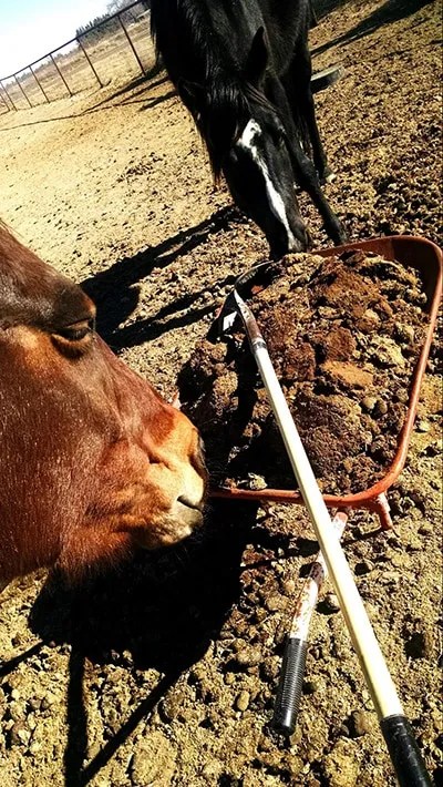 Add Composting Materials