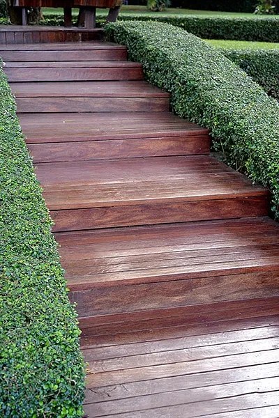 Manicured Pathway