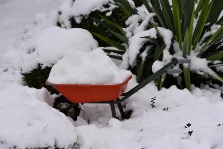 wheelbarrow loaded with snow and ice