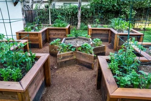 Raised Bed Designs