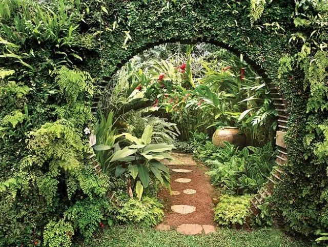 Tropical Garden