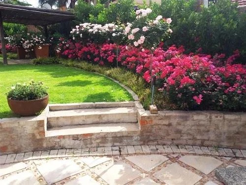 Patterned Flower Hedges