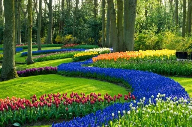 Brilliantly Vibrant Rows