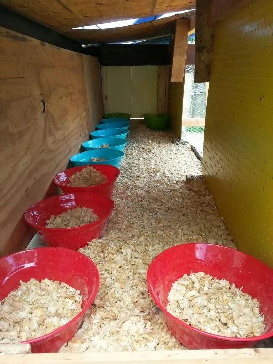 blue and red Plastic Bowl Nesting Boxes