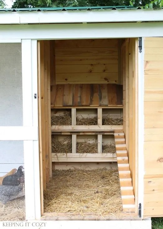 Walk-In wooden Nesting Area