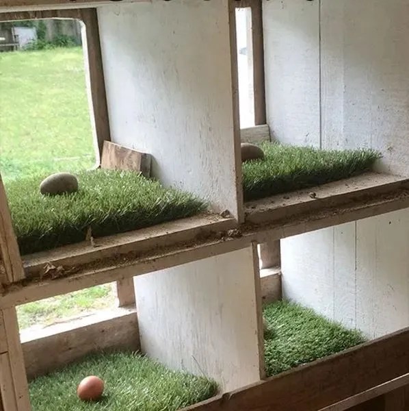 Astroturf Lined wooden Nesting Boxes