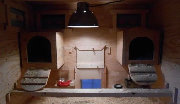 Double Nesting wooden Box Area