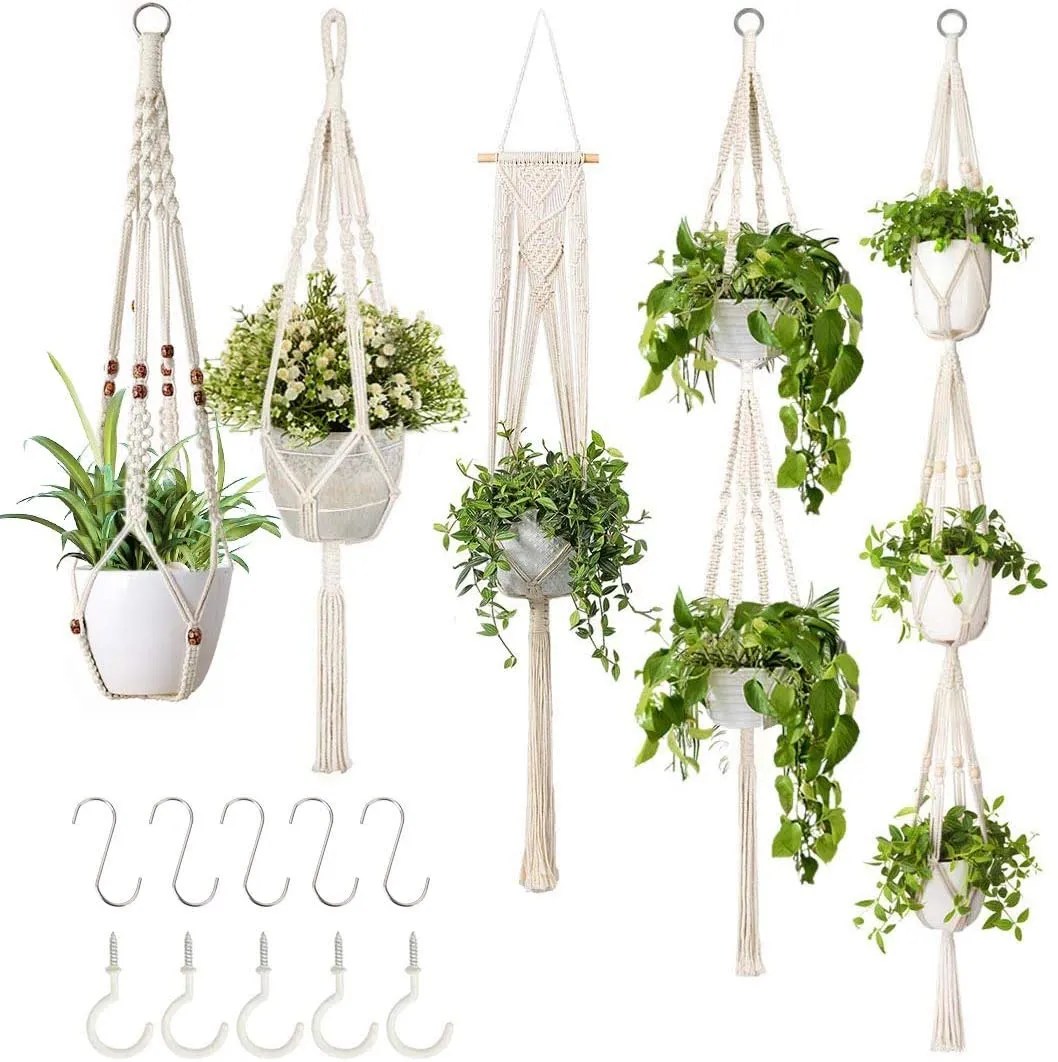 Best Hanging Plant Stands for Your Plants