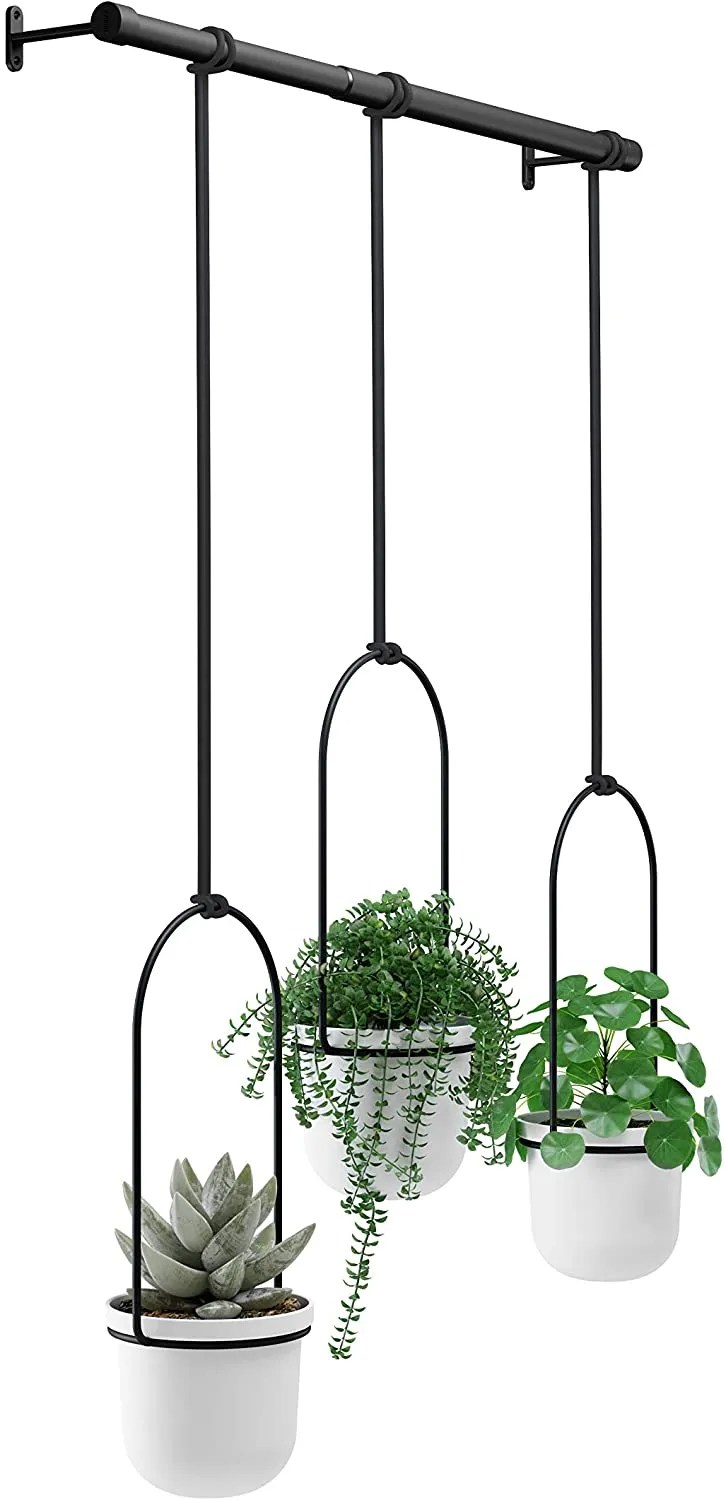 Best Hanging Plant Stands for Your Plants