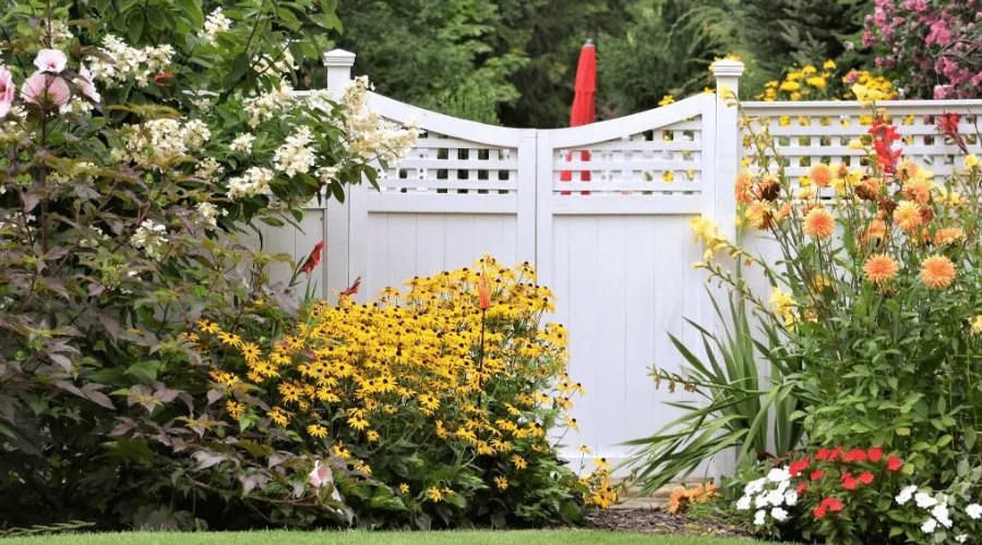butterfly garden near a white fence