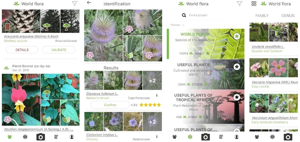 PlantNet Plant Identification