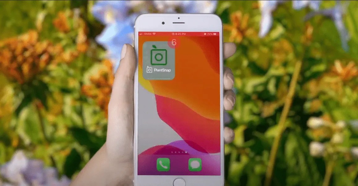 A plant expert at your fingertips